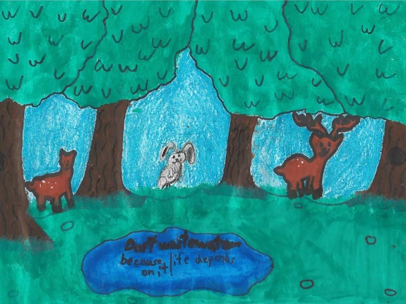 Animals stand near a pond in a woodland area. In the pond read the words, "Don't waste water because life depends on it!"