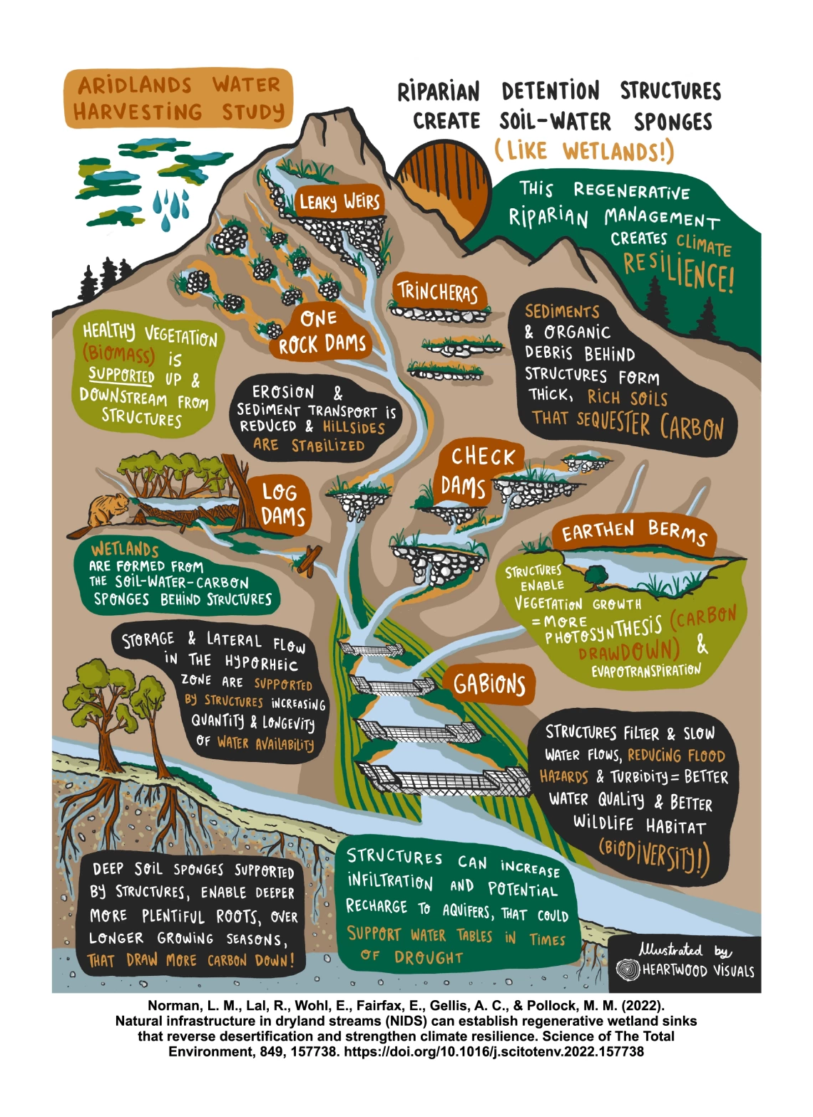 Natural Infrastructure in Dryland Streams