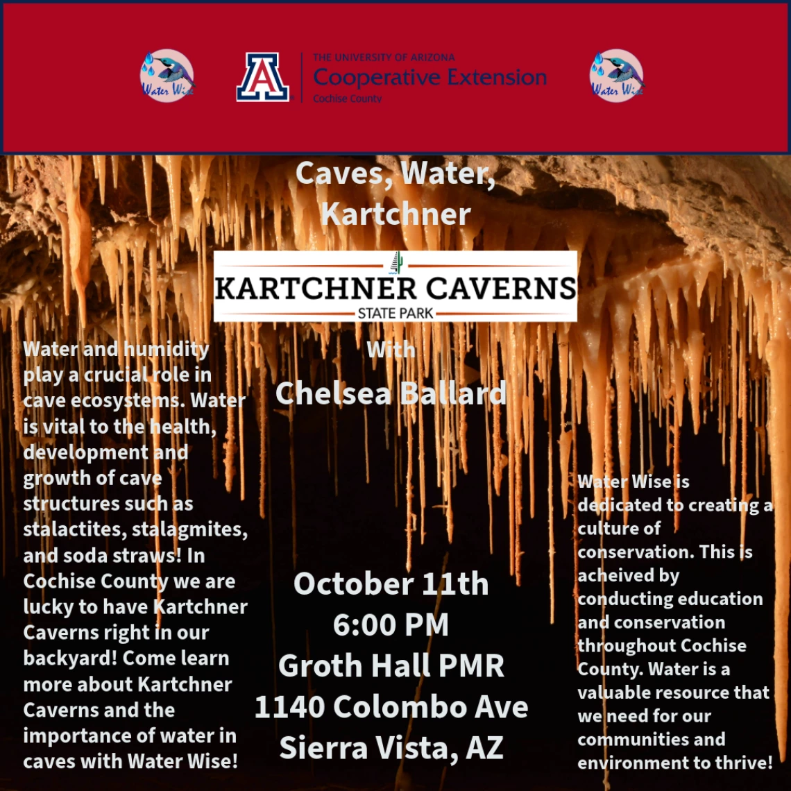 Flyer for Caves, Water, Kartchner